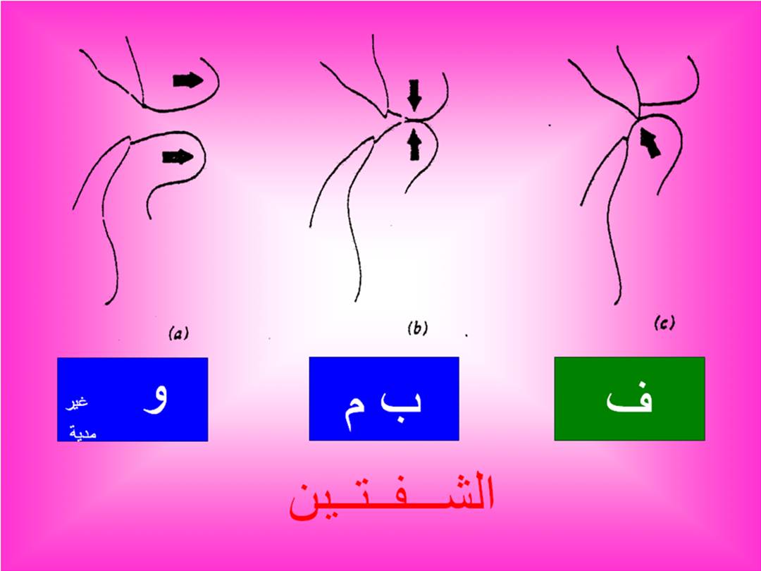 تجويد الحرف - مخارج الحروف